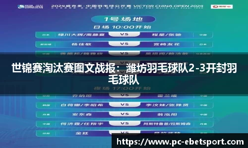 世锦赛淘汰赛图文战报：潍坊羽毛球队2-3开封羽毛球队